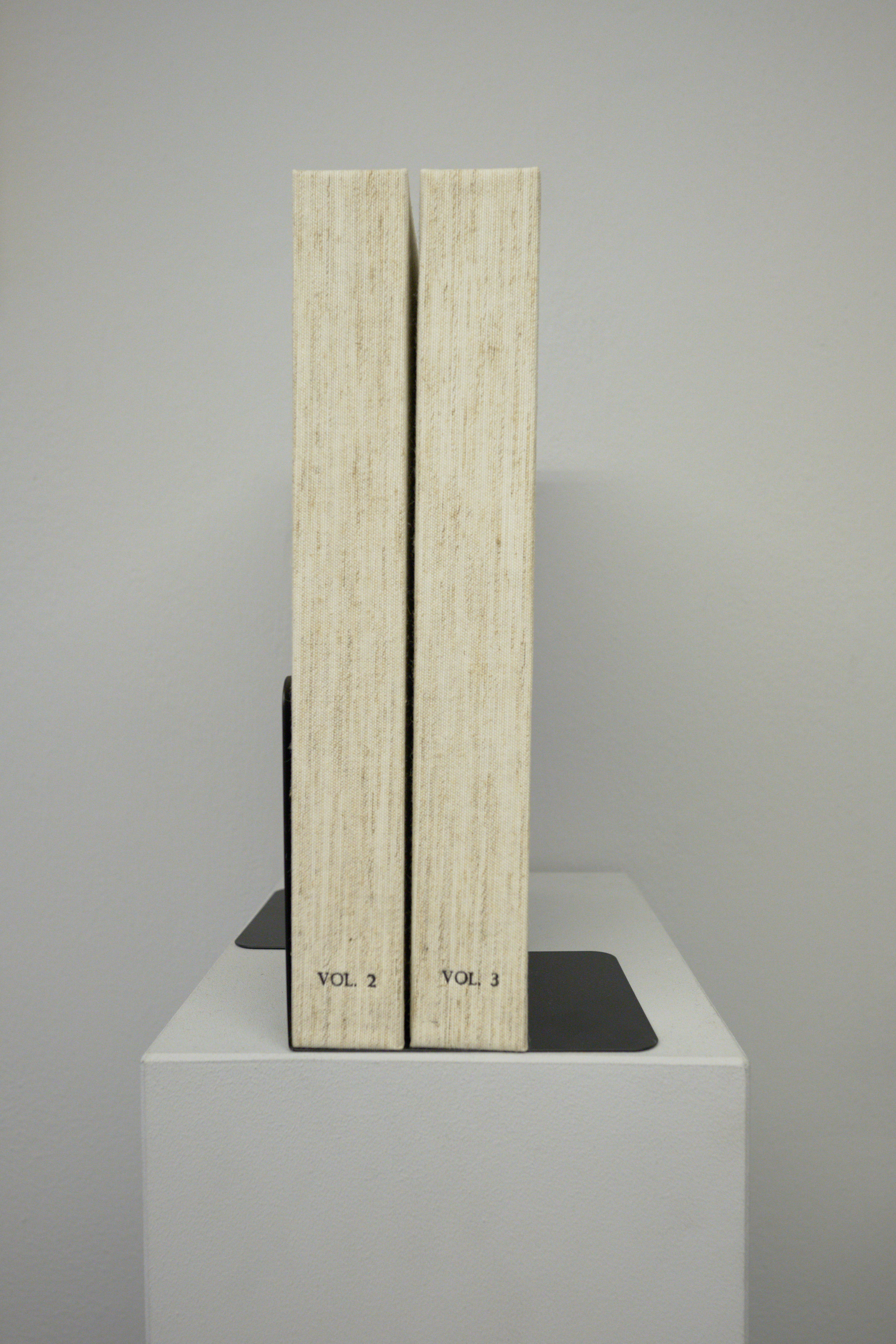 Ho fatto tardi, solo exhibition at SMDOT, 2026, Installation views